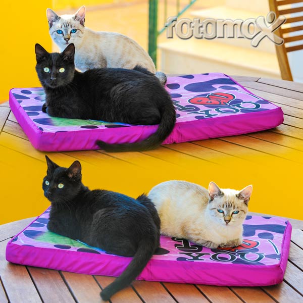 Cuscini per animali personalizzate 
