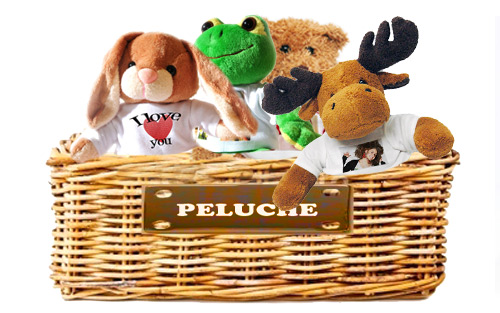 Peluche personalizzato con foto sulla maglietta per regalare un dono originale