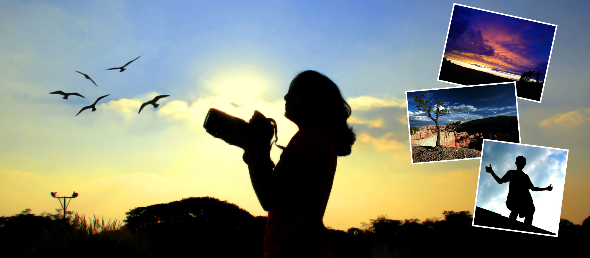Stampa online delle tue foto digitali Stampa online le tue foto digitali su vera carta fotografica professionale e i risultati saranno eccezionali