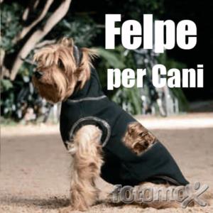 Crea e stampa su felpa le tue immagini