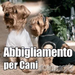 Crea l'abbigliamento ideale per il tuo cane