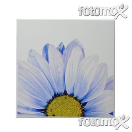 Quadretti con foto